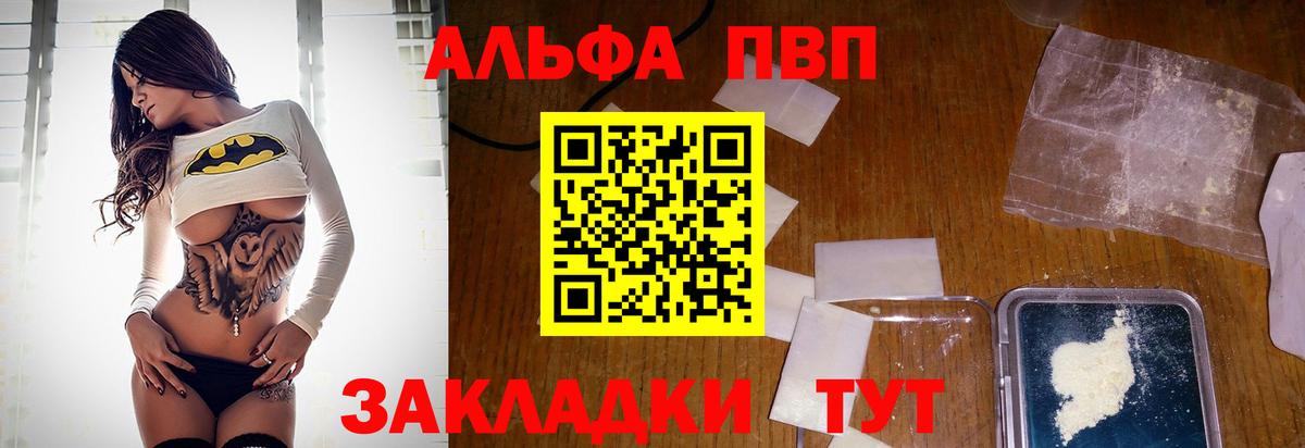 Альфа ПВП СК Керчь