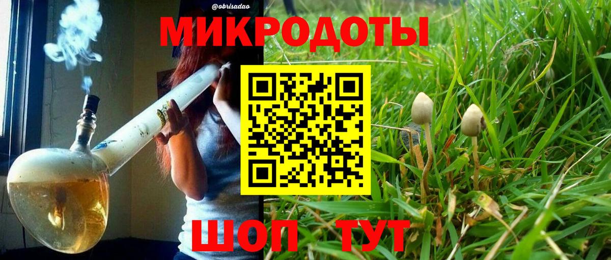 Псилоцибиновые грибы мицелий  Вход с VPN  Керчь 