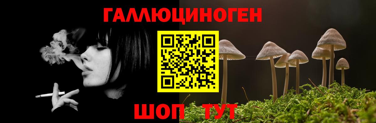 Галлюциногенные грибы Psilocybine cubensis Керчь